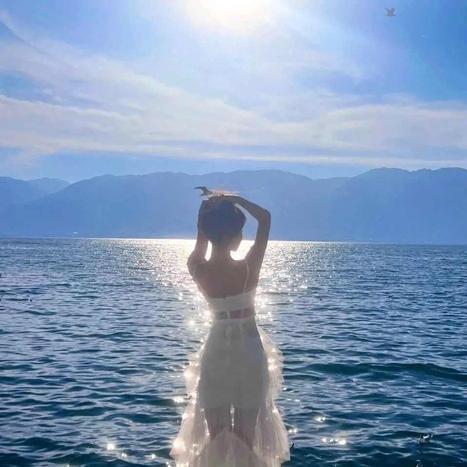 标准流程